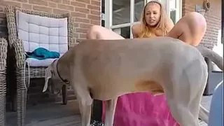 HD Japan Porn 0